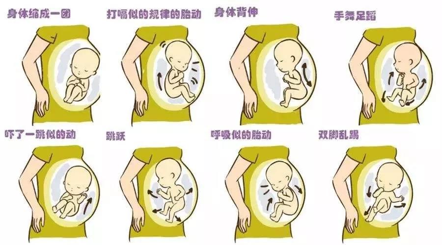 数胎动时孕妈妈要选择安静环境,舒适体位,从胎儿开始活动到停止算一次