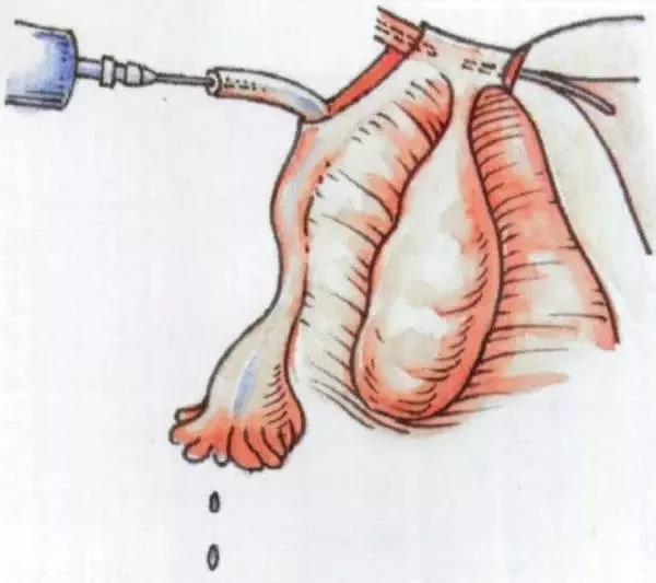 自助复通(自助复通认证号码与手机卡不一致)